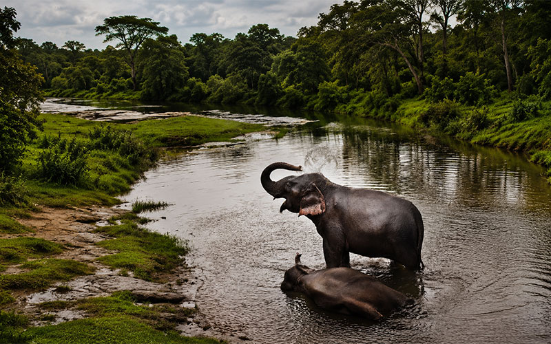 Assam Meghalaya Tour
